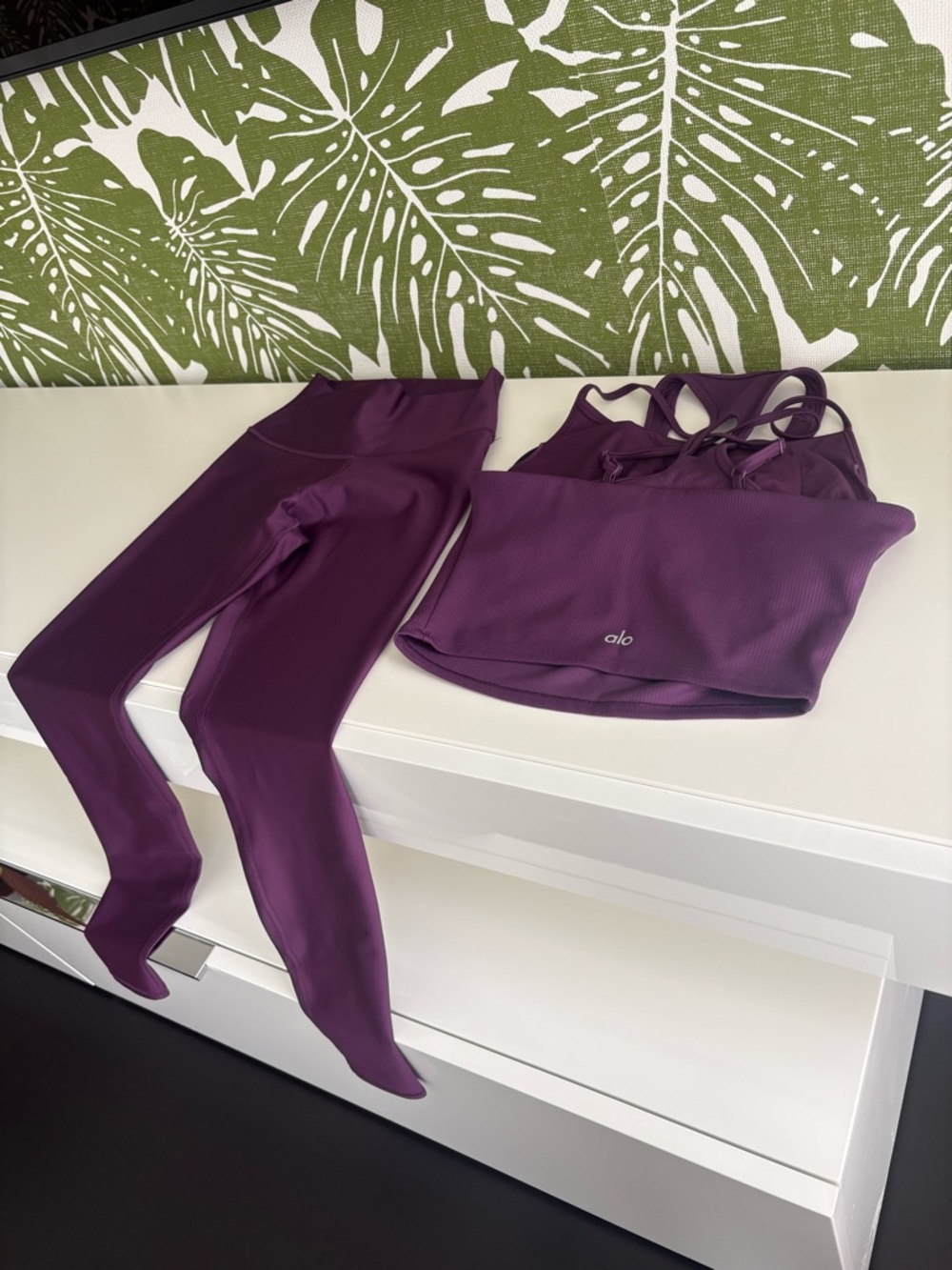 ALO Yoga Plum Ribbed Sports Bra & Leggings Set